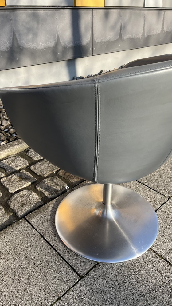 Image 1 of Walter Knoll Design Fauteuil Bob - Original Avec Pied Tulipe - Lot de 2