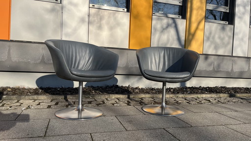 Walter Knoll Design Fauteuil Bob - Original Avec Pied Tulipe - Lot de 2