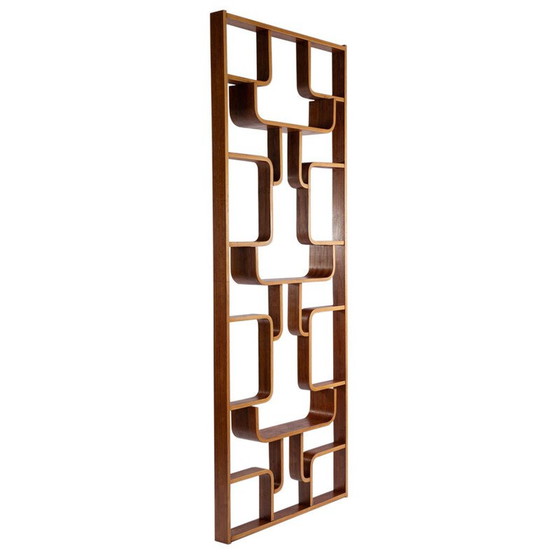 Image 1 of Séparateur de pièce vintage par Ludvik Volak, 1960s