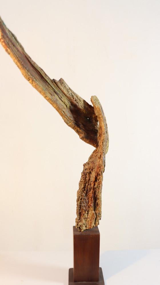 Image 1 of Sagesse de la nature