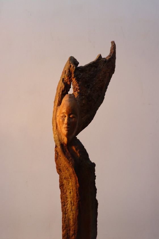 Image 1 of Sagesse de la nature