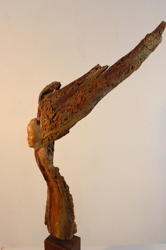 Image 1 of Sagesse de la nature