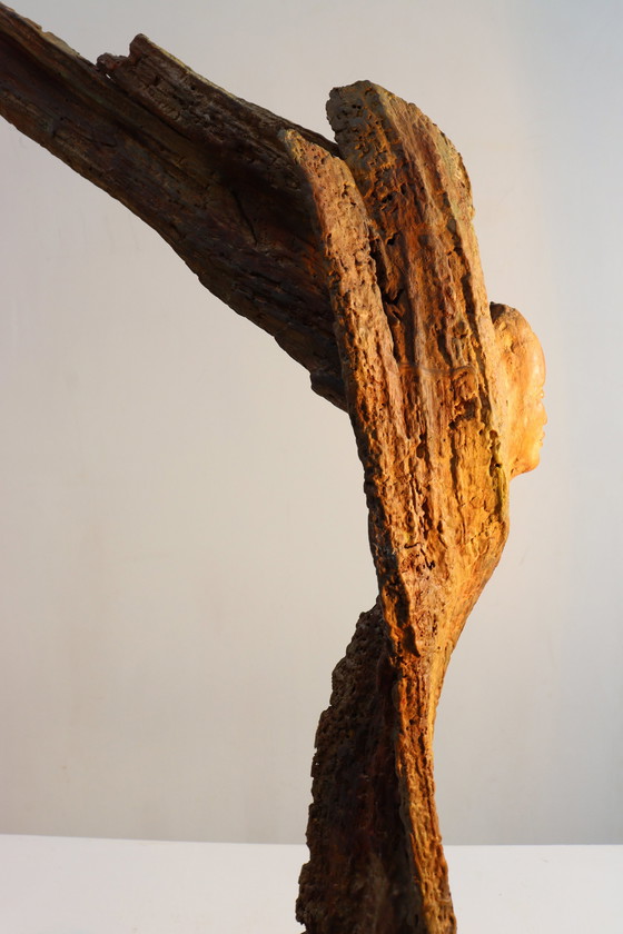 Image 1 of Sagesse de la nature