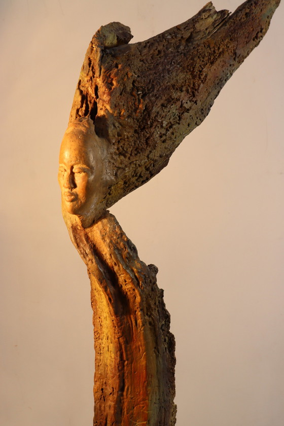 Image 1 of Sagesse de la nature