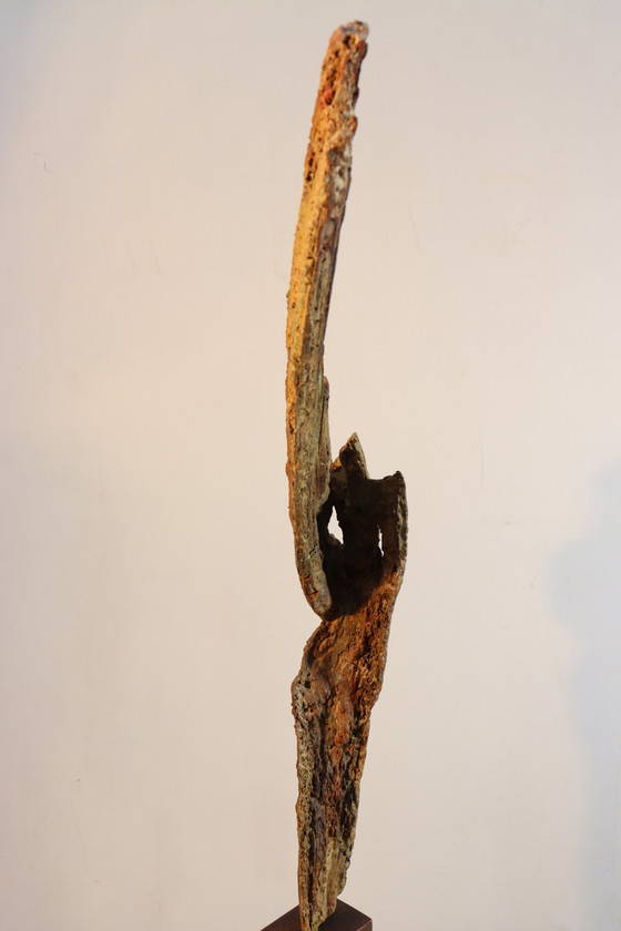 Image 1 of Sagesse de la nature