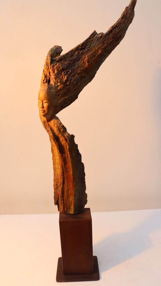 Image 1 of Sagesse de la nature