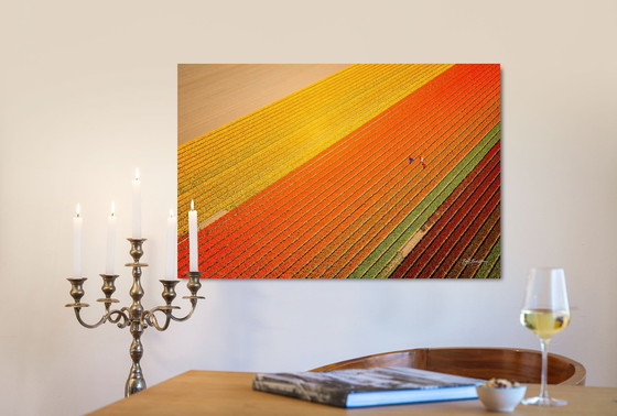 Image 1 of Colorful Spring Ii | Pays-Bas 2023