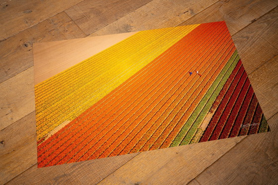 Image 1 of Colorful Spring Ii | Pays-Bas 2023