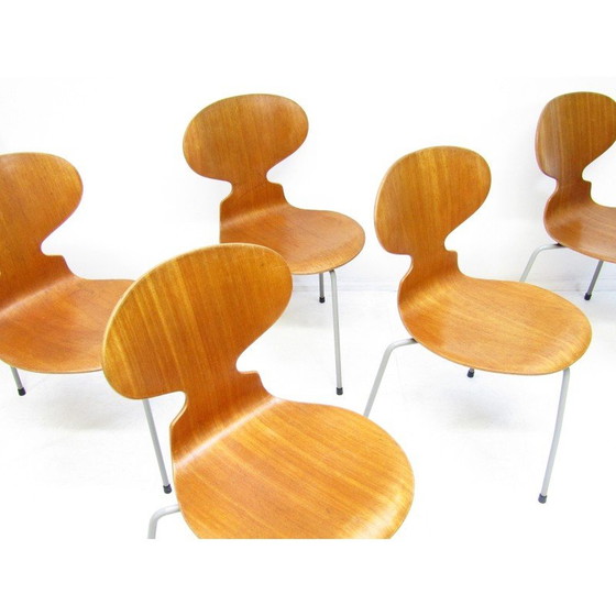 Image 1 of Ensemble de 6 chaises Fourmi vintage en teck par Arne Jacobsen pour Fritz Hansen, années 1950
