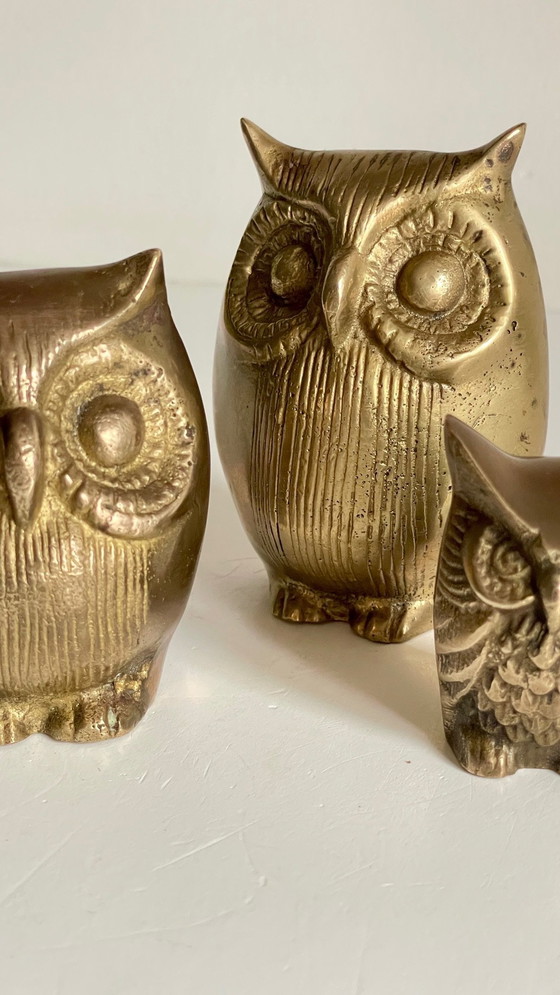 Image 1 of Famille Hiboux Laiton Vintage