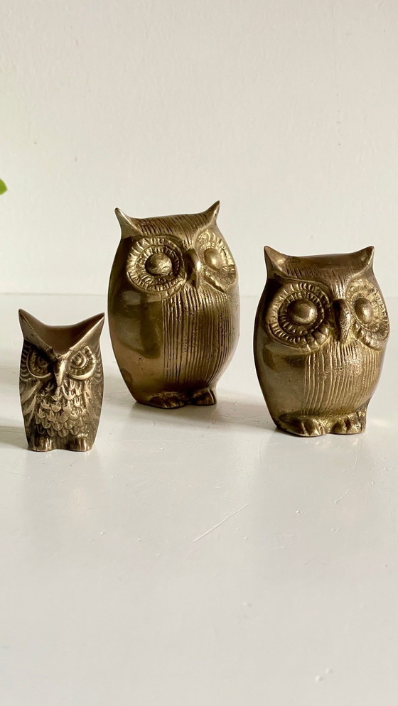 Image 1 of Famille Hiboux Laiton Vintage