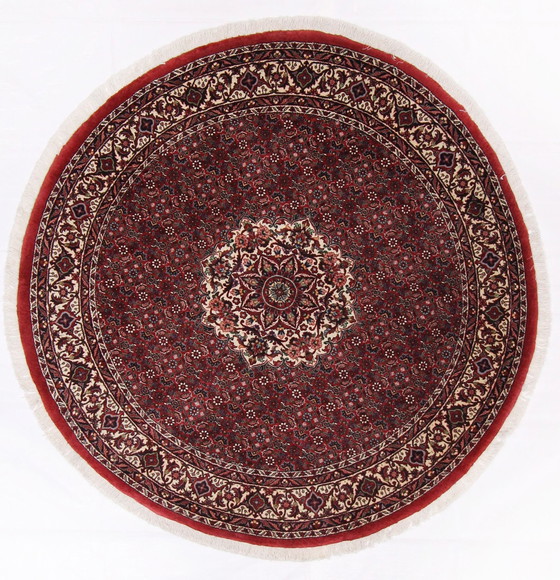 Image 1 of Tapis persan original noué à la main Bidjar Takab Très fin Noué 150 X 150 cm Top condition