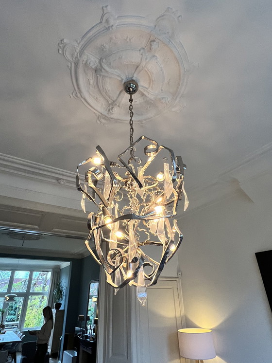 Image 1 of Brand et Van Egmond Lustre Delphinium 80