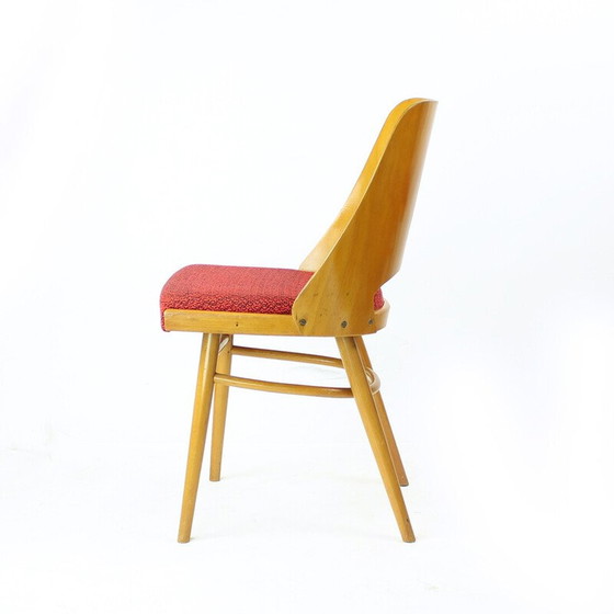 Image 1 of Ensemble de 4 chaises de salle à manger vintage en hêtre par Oswald Haerdtl pour Thonet, 1960