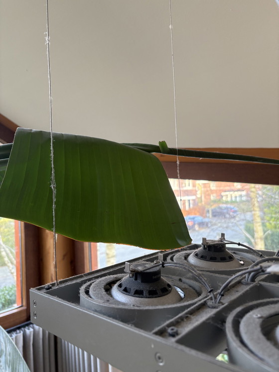 Image 1 of Lampe pendante design Delta Light