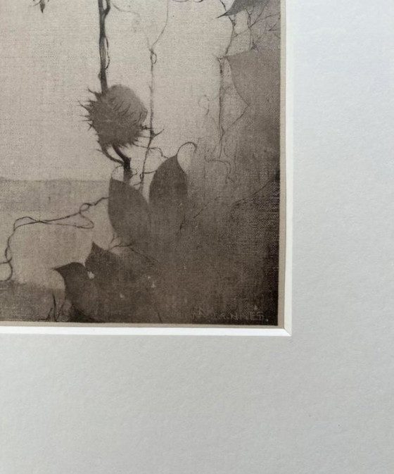 Image 1 of Jan Mankes 1889-1920 / Héliogravure originale encadrée Chardonnerets au crépuscule 1923