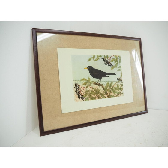 Image 1 of Affiche scolaire vintage, Tchécoslovaquie 1960