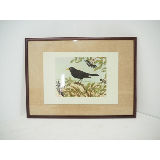 Affiche scolaire vintage, Tchécoslovaquie 1960