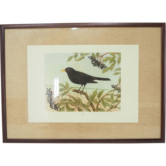 Image 1 of Affiche scolaire vintage, Tchécoslovaquie 1960