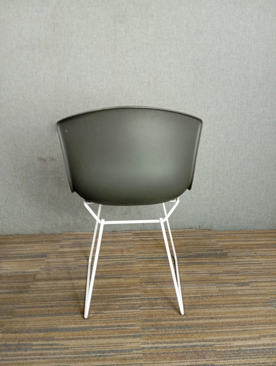 Image 1 of 1X Chaise en plastique Harry Bertoia