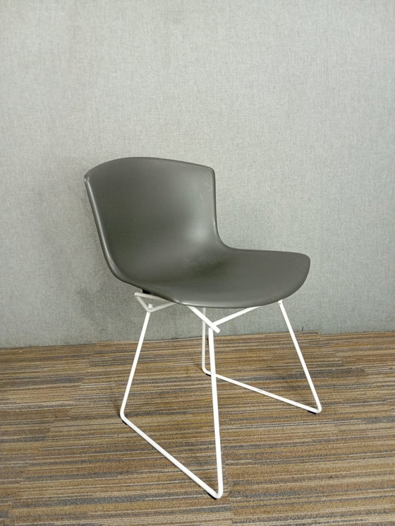 Image 1 of 1X Chaise en plastique Harry Bertoia