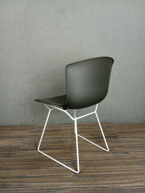 Image 1 of 1X Chaise en plastique Harry Bertoia