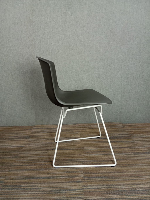 1X Chaise en plastique Harry Bertoia