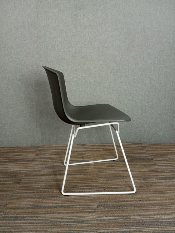 Image 1 of 1X Chaise en plastique Harry Bertoia