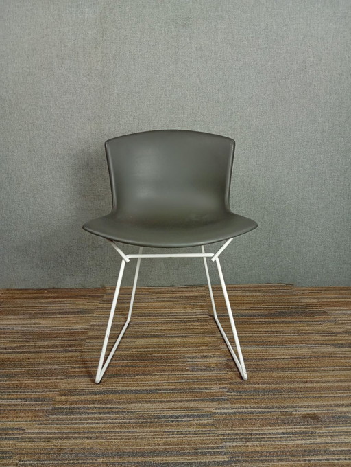 1X Chaise en plastique Harry Bertoia