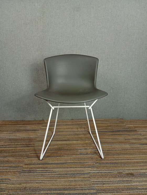 Image 1 of 1X Chaise en plastique Harry Bertoia