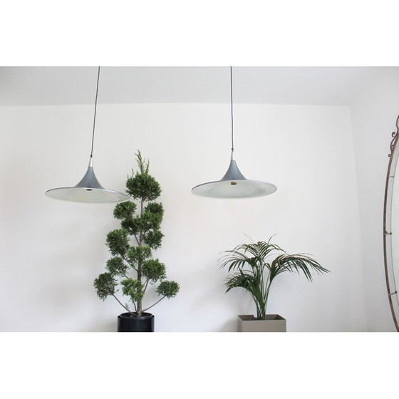 Image 1 of Paire de lampes suspendues vintage par Goffredo Reggiani, Italie 1980