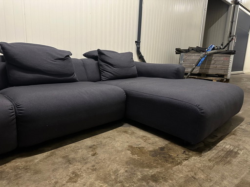 Rolf Benz Freistil Modulair Sofa