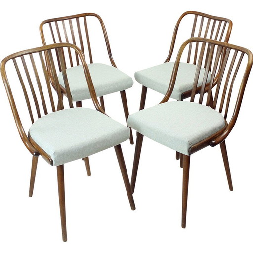 Ensemble de 4 chaises de salle à manger vintage en chêne foncé incurvé pour Jitona, Tchécoslovaquie 1960