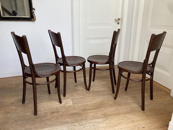 Image 1 of 4X Chaises Thonet No 124 en bois courbé Art Nouveau par J. Kohn