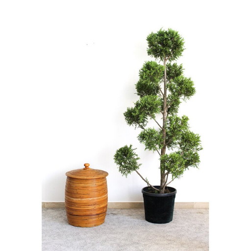 Panier cylindrique vintage en osier, Italie 1970