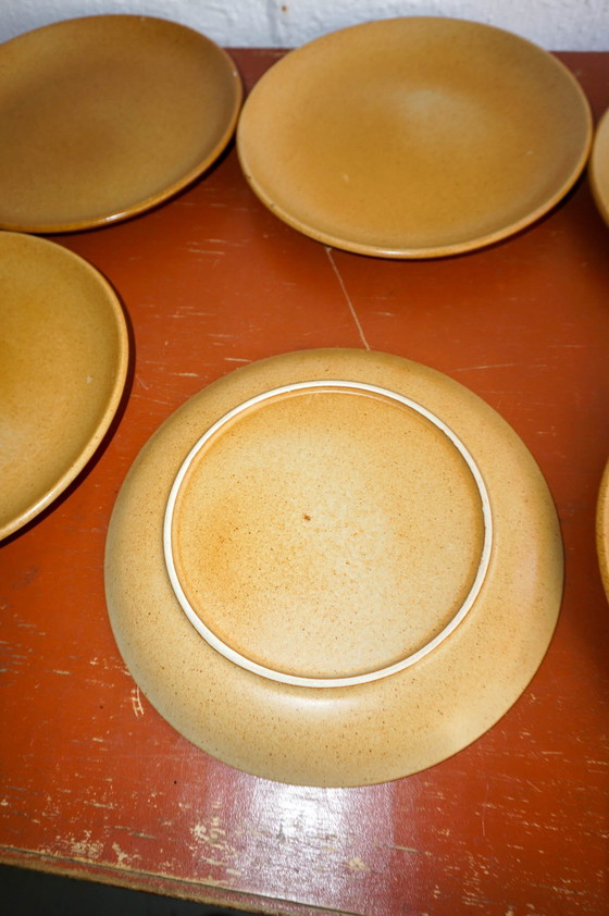 Image 1 of 6 X Assiette à dîner Vintage Grès mouchetée en poterie fermière française