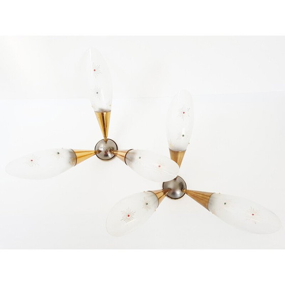 Image 1 of Paire d'appliques triples - années 1950