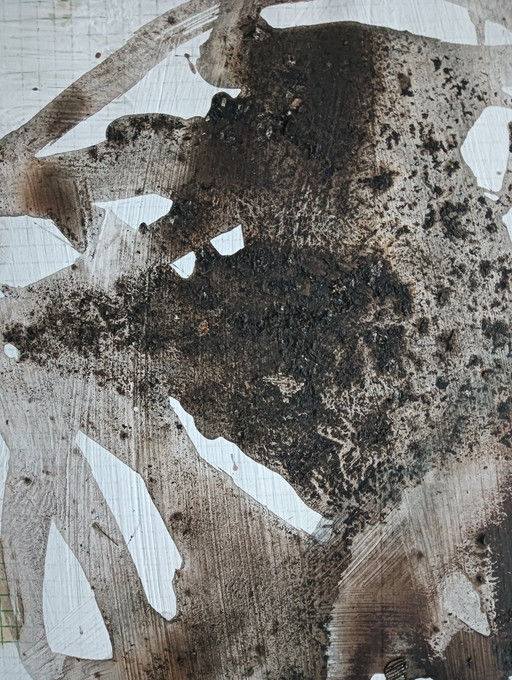 Rob Jacobs - Mouvement