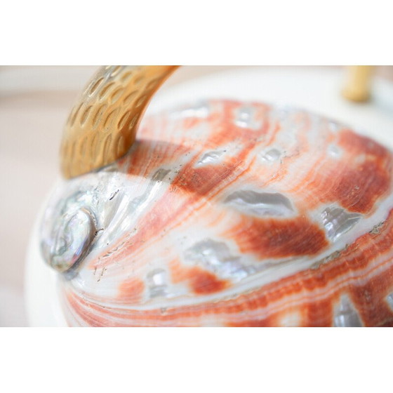 Image 1 of Lampe de table vintage en acier et coquillages par Antonio Pavia, 1970