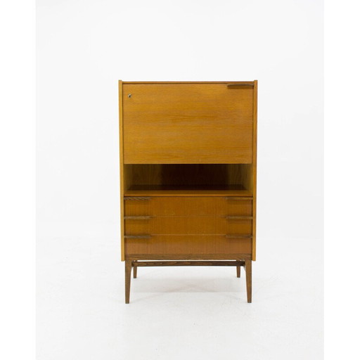 Secrétaire vintage de František Mezulánik pour Up Závody, 1963