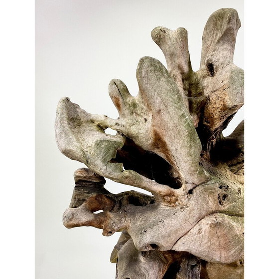 Image 1 of Paire de fauteuils brutalistes vintage en teck