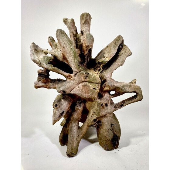 Image 1 of Paire de fauteuils brutalistes vintage en teck