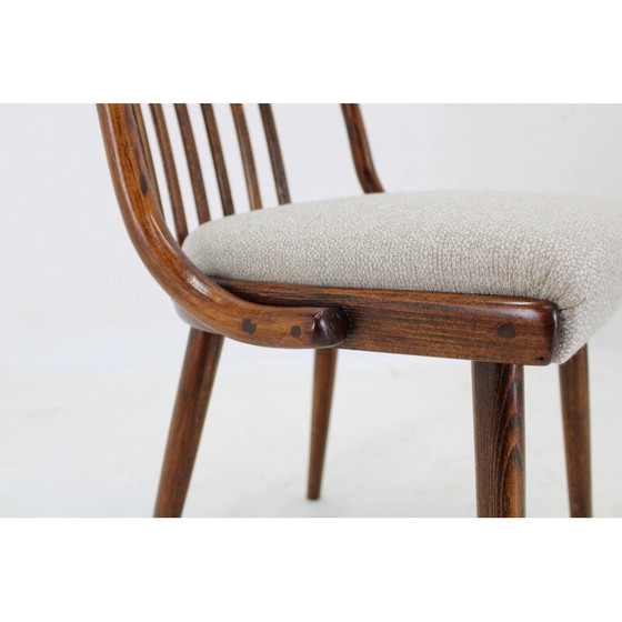 Image 1 of Ensemble de 6 chaises de salle à manger vintage en hêtre par Antonin Suman, 1960s