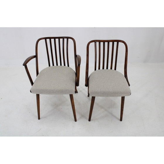 Image 1 of Ensemble de 6 chaises de salle à manger vintage en hêtre par Antonin Suman, 1960s