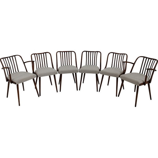 Ensemble de 6 chaises de salle à manger vintage en hêtre par Antonin Suman, 1960s