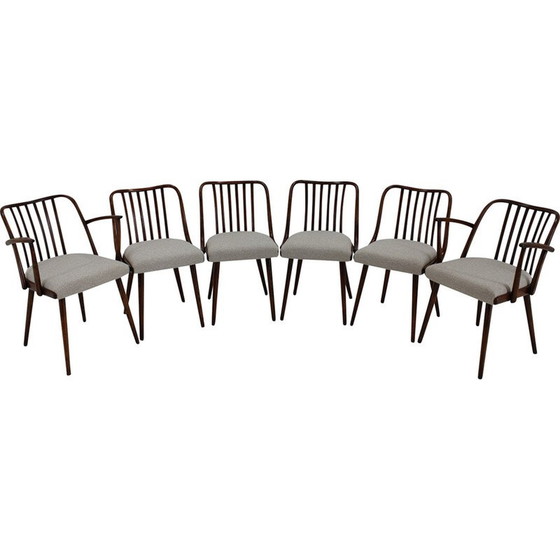 Image 1 of Ensemble de 6 chaises de salle à manger vintage en hêtre par Antonin Suman, 1960s