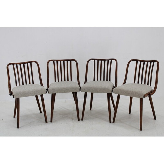 Image 1 of Ensemble de 6 chaises de salle à manger vintage en hêtre par Antonin Suman, 1960s