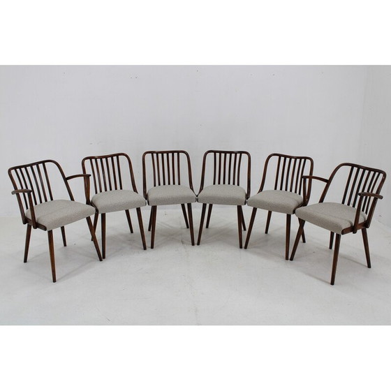 Image 1 of Ensemble de 6 chaises de salle à manger vintage en hêtre par Antonin Suman, 1960s