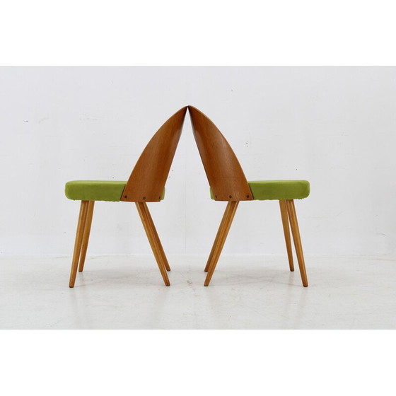 Image 1 of Ensemble de 4 chaises de salle à manger vintage par Antonin Suman, 1960s
