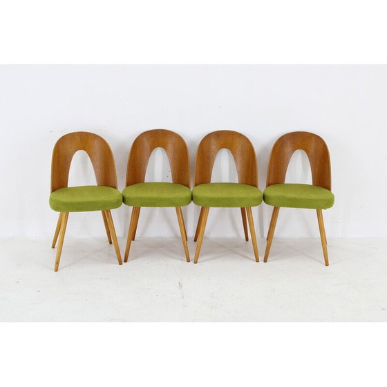 Image 1 of Ensemble de 4 chaises de salle à manger vintage par Antonin Suman, 1960s